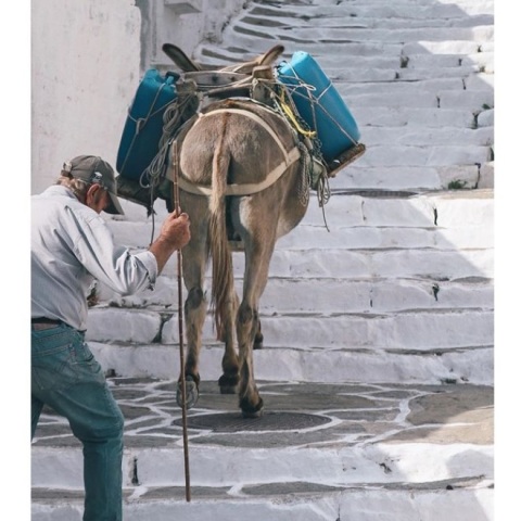 @aggeliki_koutelekou