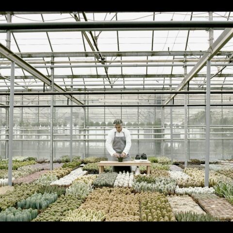 Γιώργος Δρίβας - Δομές συναισθημάτων