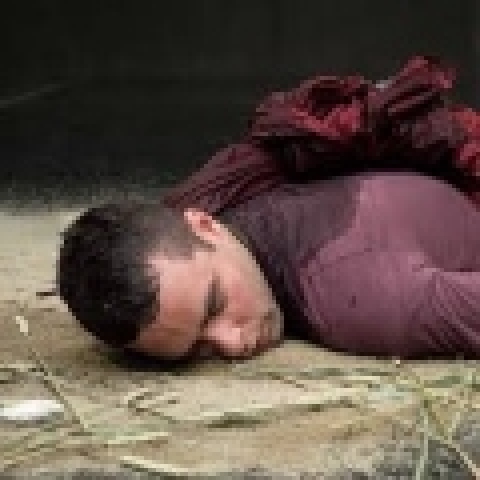 Μάνος Πετράκης (Εξημέρωση), Στέγη