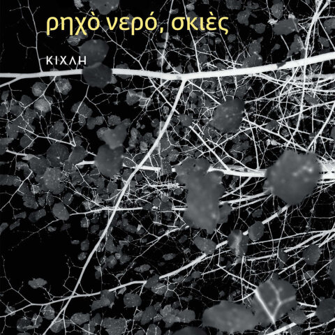 Άκης Παπαντώνης «Ρηχό νερό, σκιές» (Κίχλη)