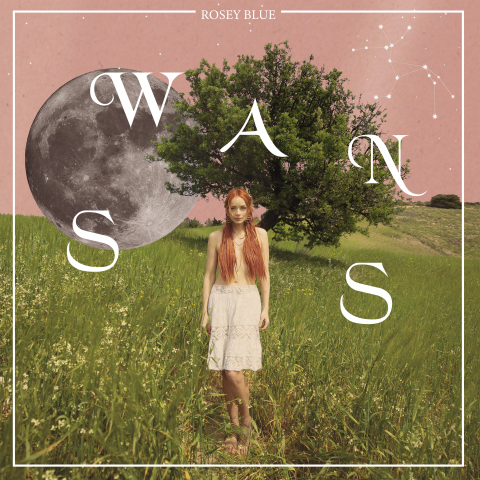 Rosey Blue – Swans