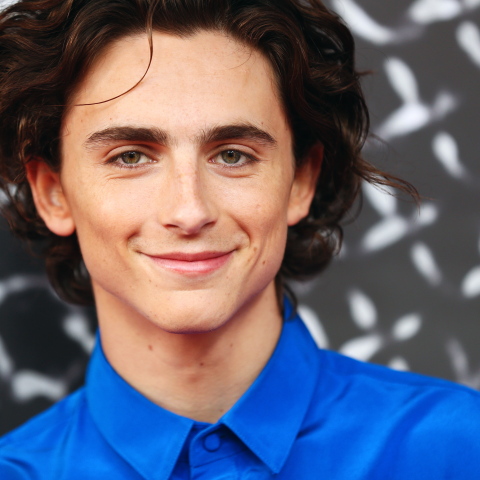 timothee_chalamet_epa_brendon_thorne.jpg
