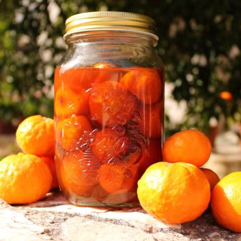 Γλυκό του κουταλιού μανταρίνι, μόνο με τέσσερα υλικά