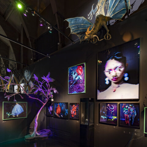 va-tim-walker-wonderful-things-exhibition-installation-view-lil-dragon-section-2-c-victoria-and-albert-museum-london.jpg