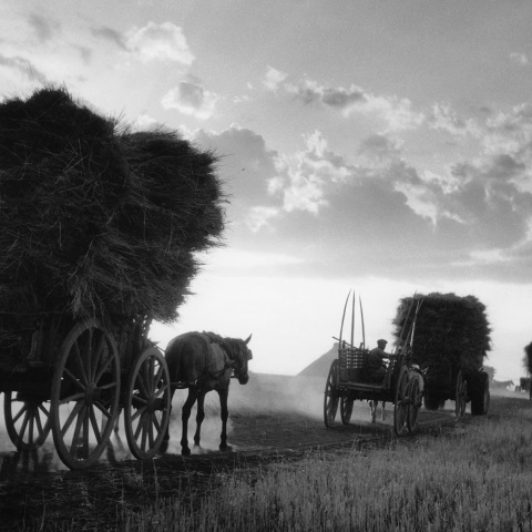 Τάκης Τλούπας
