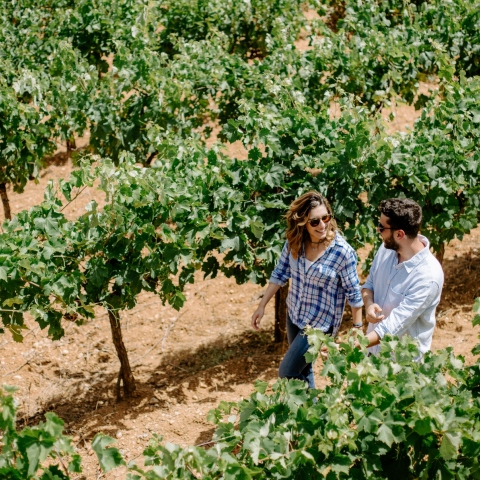 Άρης και Αδριανή Τσέλεπος