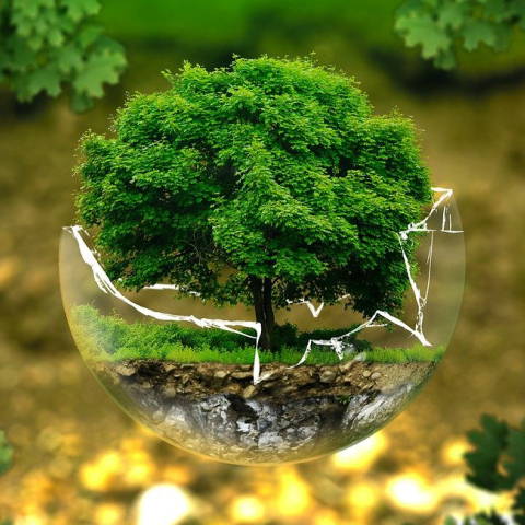 Φωτογραφία για την προστασία του περιβάλλοντος