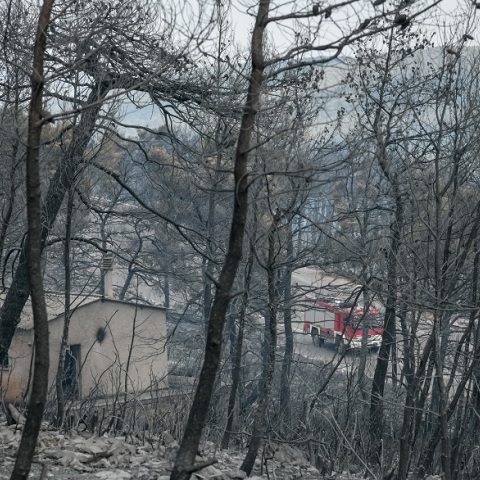 Βίλια: Η επόμενη ημέρα από το πέρασμα της φωτιάς