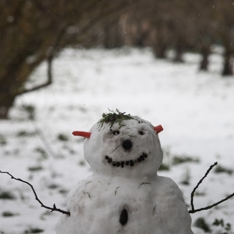 Χιονάνθρωπος