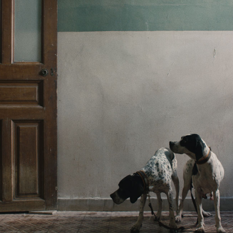 Riddles for resilient tongues: Η πρώτη ατομική έκθεση της Janis Rafa στην Ελλάδα, στο opbo studio