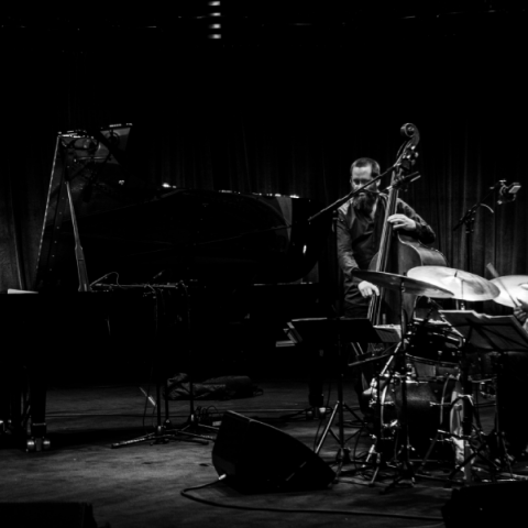 Pablo Held Trio στο Goethe-Institut Athen