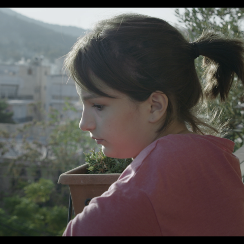 Ξεριζωμένοι