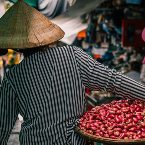 © Alice Young/ Unsplash