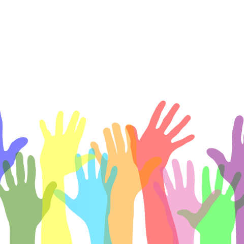 Οι εργαζόμενοι της MSD τίμησαν τον εθελοντισμό με ενέργειες σε όλη την Ελλάδα