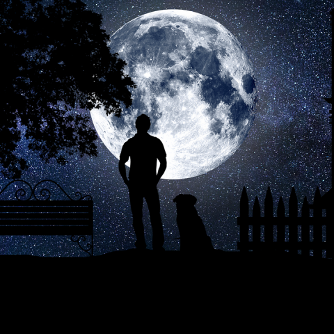 Εικονογράφηση άνδρα που κοιτά το φεγγάρι μαζί με τον σκύλο του