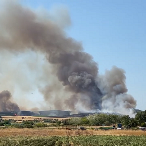 Φωτιά στην περιοχή Αγνάντια της Αλεξανδρούπολης 