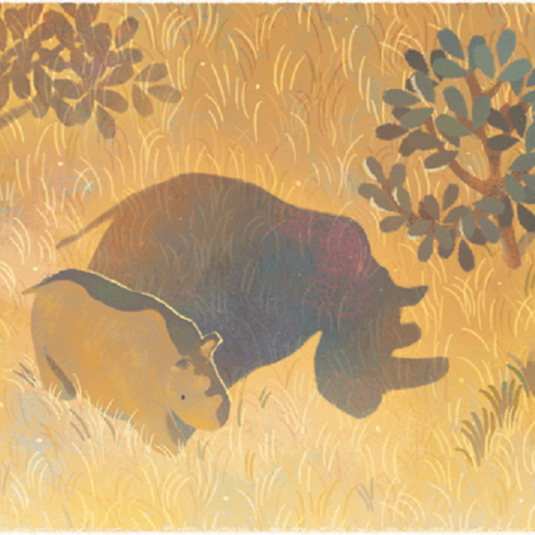 Ο τελευταίος αρσενικός βόρειος λευκός ρινόκερος, Σουδάν