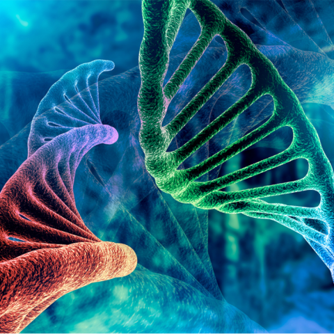 Ελπιδοφόρα μηνύματα για τη θεραπεία του καρκίνου