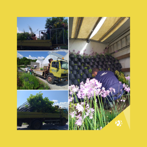 Ελληνικός Χρυσός: Δίπλα στον Δήμο Αριστοτέλη