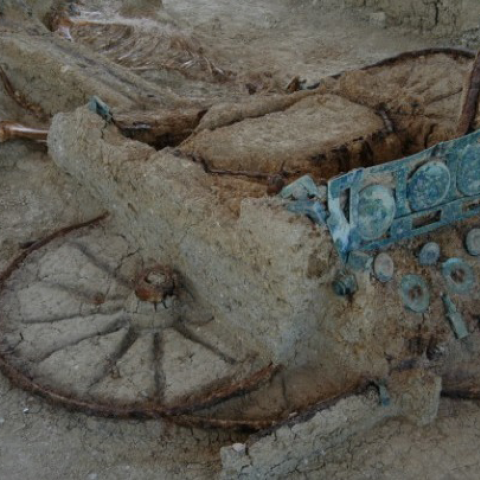 Άμαξα από την ανασκαφή του ταφικού τύμβου, που βρίσκεται κοντά στα χωριά Μικρή Δοξιπάρα, Ζώνη και Χελιδόνα, στο δυτικό τμήμα του βόρειου Έβρου 