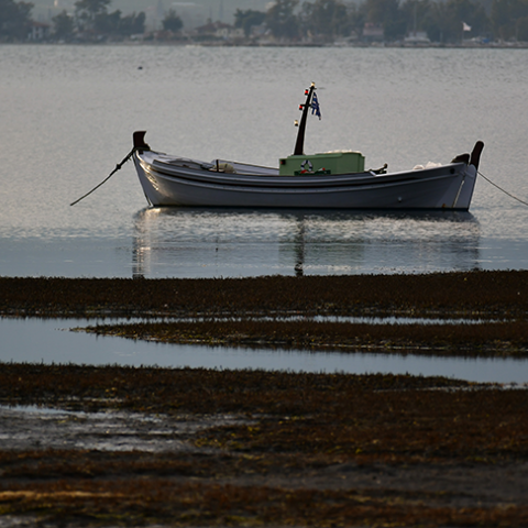Υποχώρηση της στάθμης της θάλασσα στο Ναύπλιο 