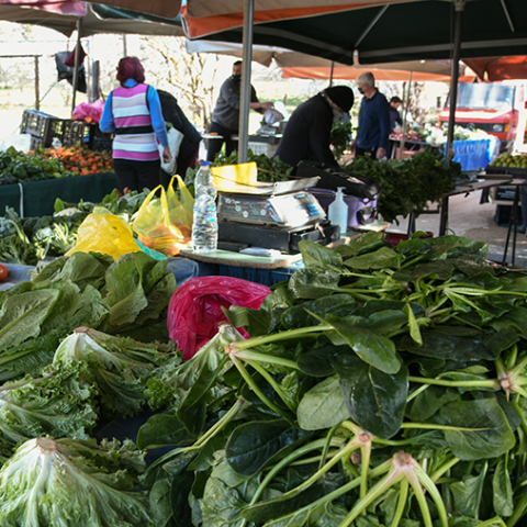 ΣΤΙΓΜΙΟΤΥΠΑ ΑΠΟ ΛΑΙΚΗ ΑΓΟΡΑ
