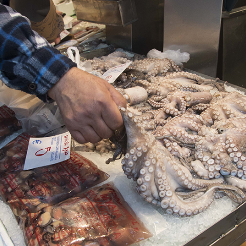  ΘΕΣΣΑΛΟΝΙΚΗ - ΣΑΡΑΚΟΣΤΙΑΝΑ 