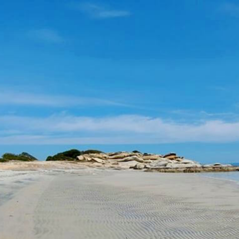 Χαλκιδική: Η άμπωτη «εξαφάνισε» τη θάλασσα στο Καρύδι Σιθωνίας