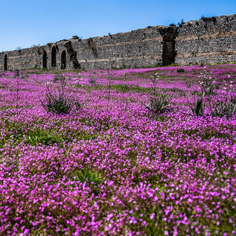 ΤΑ ΤΕΙΧΗ ΤΗΣ ΑΡΧΑΙΑΣ ΝΙΚΟΠΟΛΗΣ ΣΕ ΑΝΟΙΞΙΑΤΙΚΟ ΣΚΗΝΙΚΟ