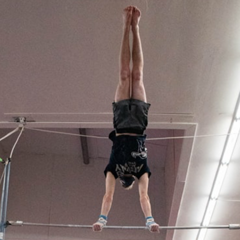 Ενόργανη Γυμναστική