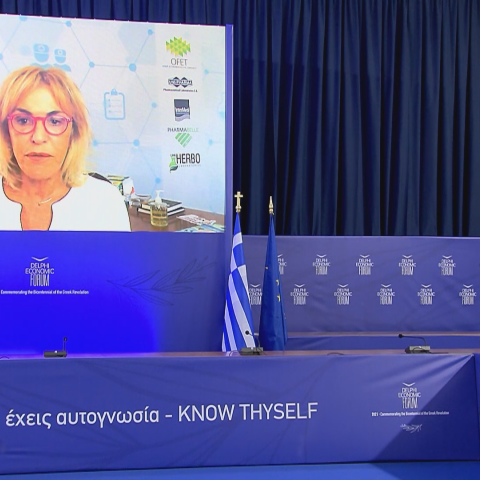 Ιουλία Τσέτη: Αναγκαία η δημιουργία ενός νέου παραγωγικού μοντέλου