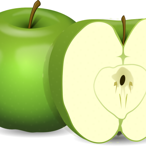 Αιδοίο: νέο πεδίο για τη βιομηχανία της ομορφιάς