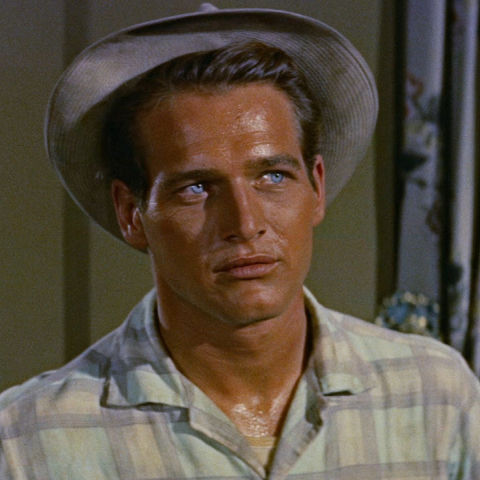 Πολ Νιούμαν, «The long hot summer» 1958