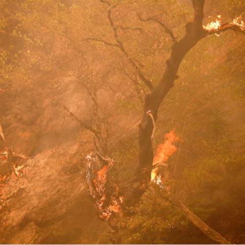 Πυρκαγιές στην Καλιφόρνια