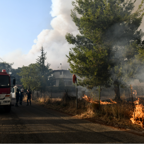 Φωτιά στην Εύβοια - Μαίνεται ακόμα η πυρκαγιά