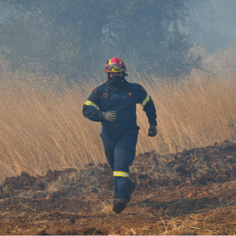 Φωτιά στα Βίλια Αττικής - Πυροσβέστης