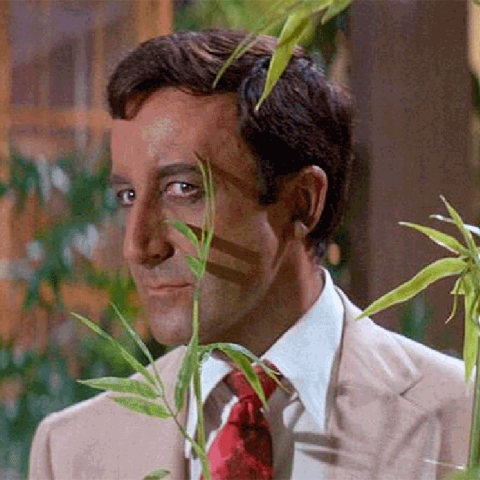 Το Πάρτι με τον Πίτερ Σέλερς