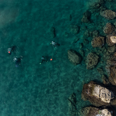 Θάλασσα και δύτες