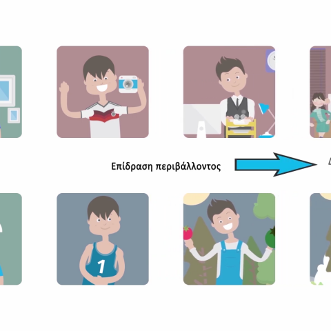 «Φως» στα μυστικά του εγκεφάλου μέσα από εκπαιδευτικά βίντεο 