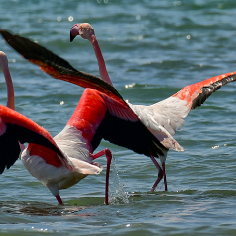 Βελτιώνεται κι άλλο ο καιρός το Σάββατο 