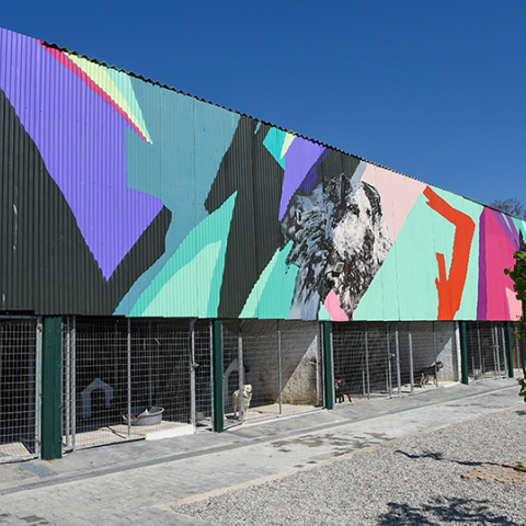 ΕΤΟΙΜΟ ΤΟ ΠΡΩΤΟ ΚΑΤΑΦΥΓΙΟ ΑΔΕΣΠΟΤΩΝ ΖΩΩΝ ΤΟΥ ΔΗΜΟΥ ΤΗΣ ΑΘΗΝΑΣ