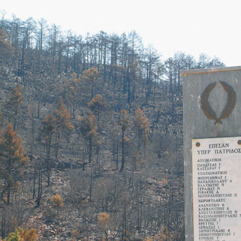 Φωτιές και καμένα