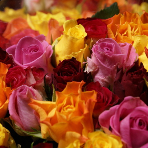 Εορτολόγιο: Σήμερα 10 Αυγούστου γιορτάζει…