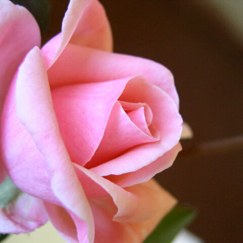 Εορτολόγιο: Σήμερα 14 Αυγούστου γιορτάζει…