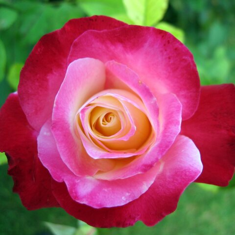 Εορτολόγιο: Σήμερα 27 Αυγούστου γιορτάζει…