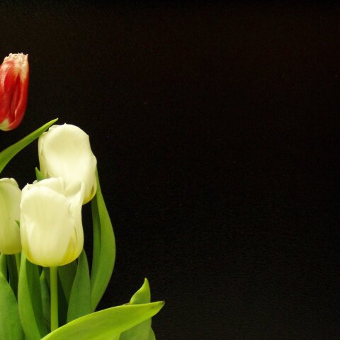 Εορτολόγιο: Σήμερα, 6 Σεπτεμβρίου, γιορτάζει…