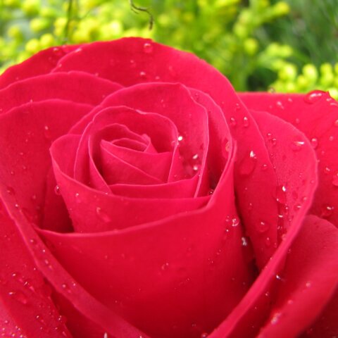 Εορτολόγιο: Σήμερα, 7 Σεπτεμβρίου, γιορτάζει…