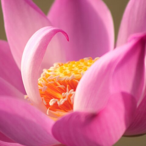 Εορτολόγιο: Σήμερα, 20 Σεπτεμβρίου, γιορτάζει…