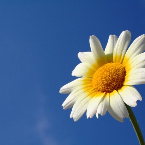 Εορτολόγιο: Σήμερα, 21 Σεπτεμβρίου, γιορτάζει…