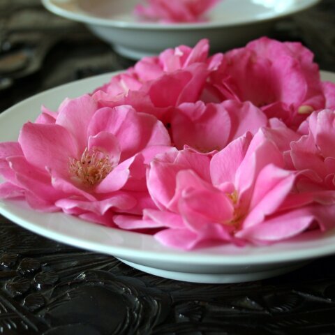 Εορτολόγιο: Σήμερα 22 Σεπτεμβρίου γιορτάζει… 